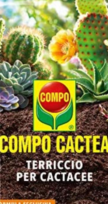 Revisione aperta modale 1 su 1