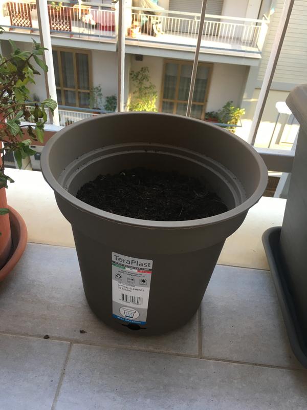 Revisione aperta modale 1 su 1