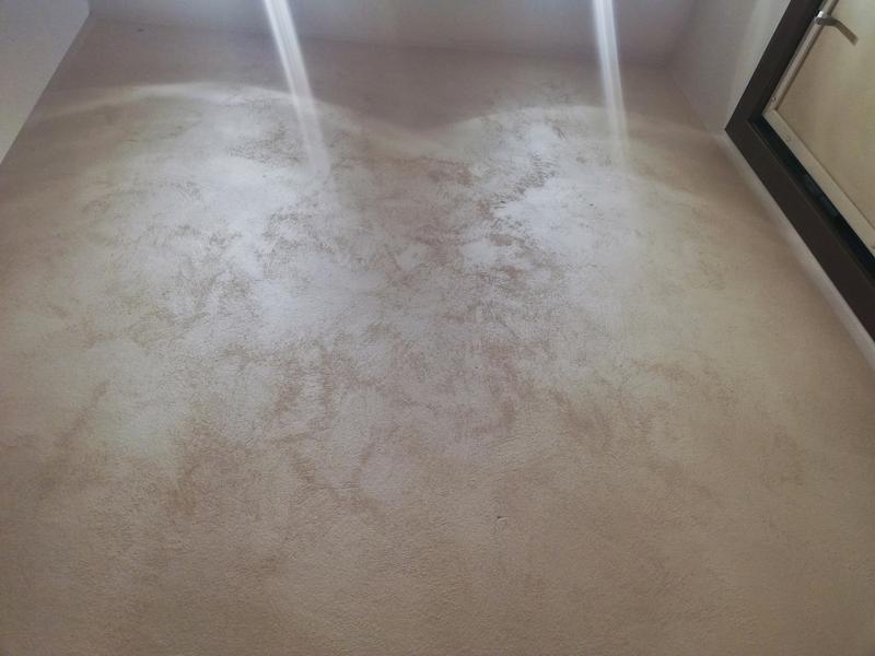 Revisione aperta modale 5 su 5