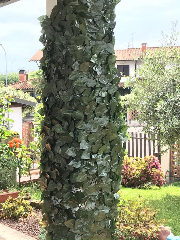 Revisione aperta modale 3 su 4