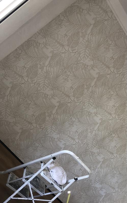 Revisione aperta modale 1 su 1