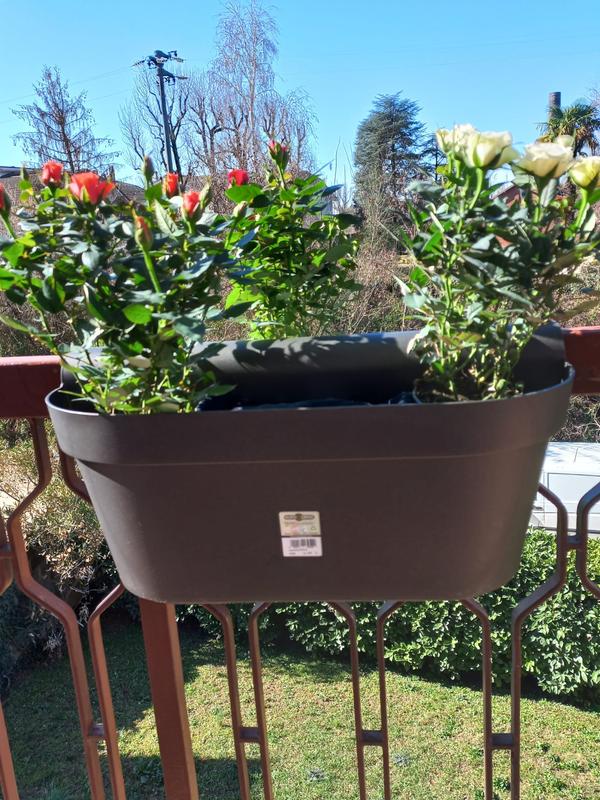 Revisione aperta modale 4 su 4