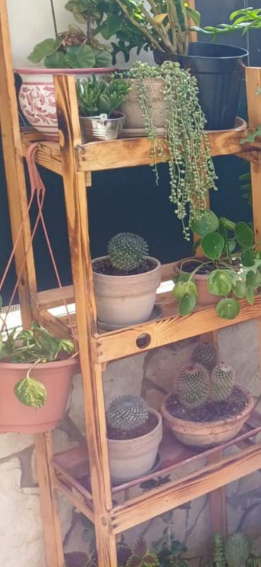 Revisione aperta modale 1 su 1