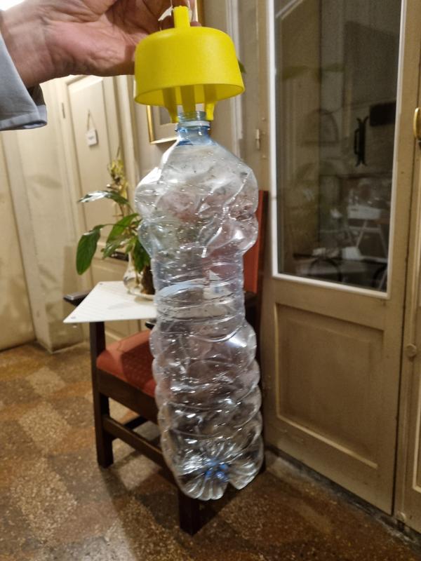 Revisione aperta modale 2 su 2
