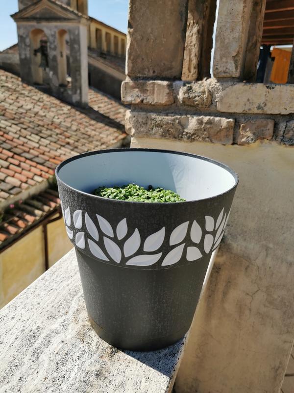 Revisione aperta modale 1 su 1