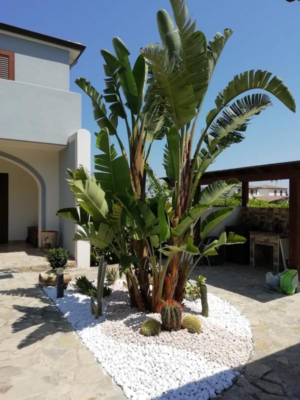 Revisione aperta modale 1 su 1