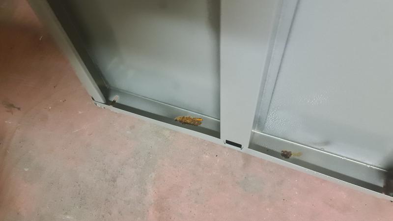 Revisione aperta modale 1 su 4