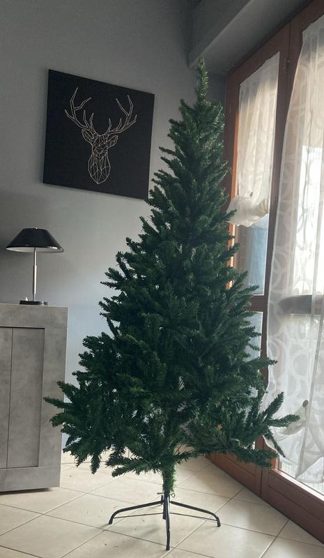 Revisione aperta modale 1 su 1