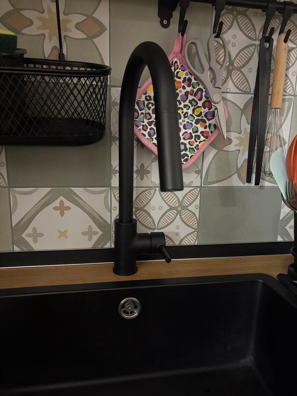 Revisione aperta modale 1 su 1