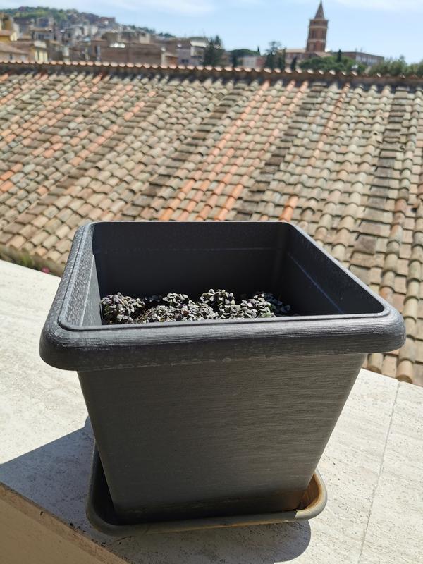 Revisione aperta modale 1 su 1