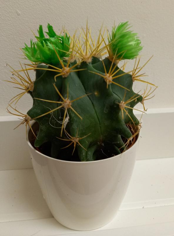 Revisione aperta modale 3 su 3