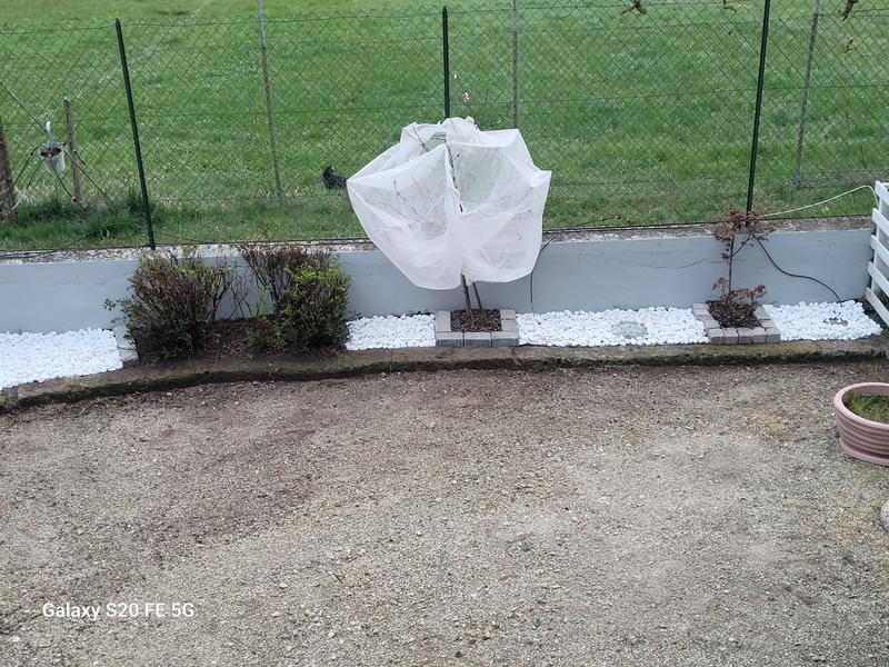 Revisione aperta modale 1 su 1