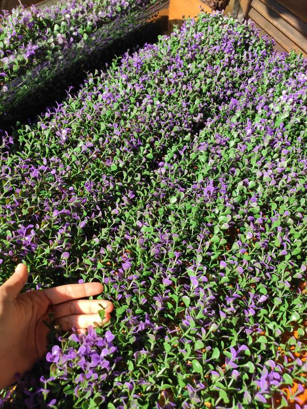 Revisione aperta modale 4 su 5