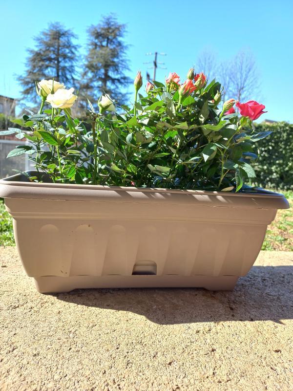 Revisione aperta modale 3 su 3