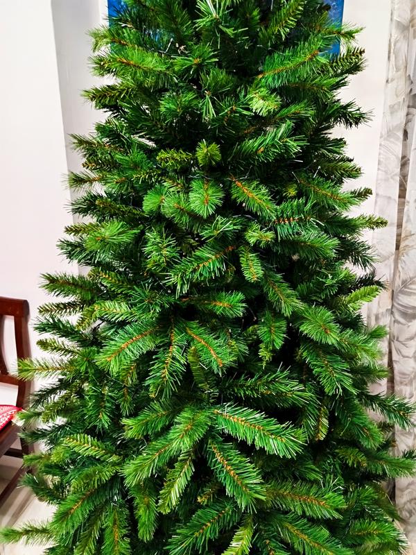 Revisione aperta modale 1 su 1