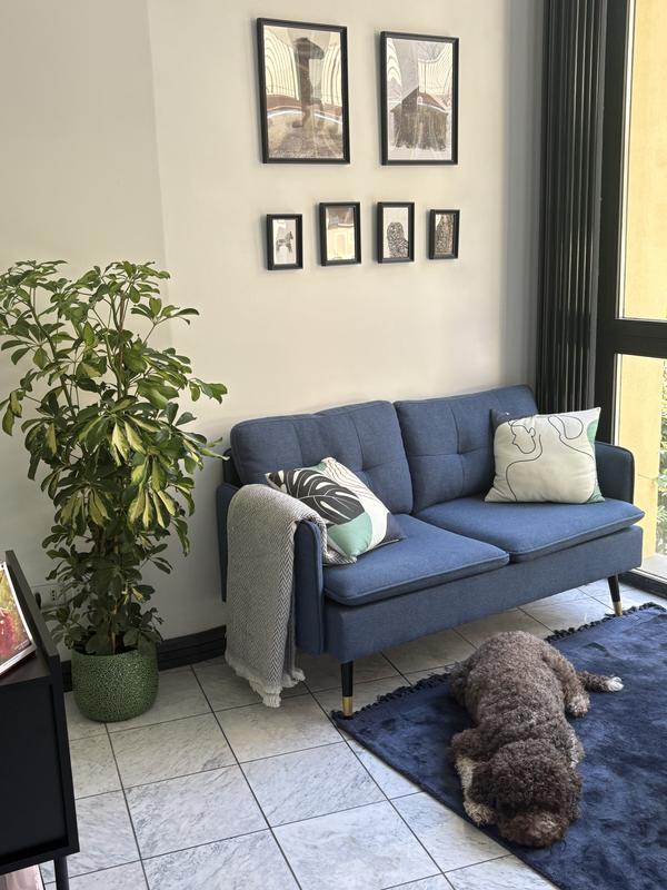 Revisione aperta modale 1 su 1