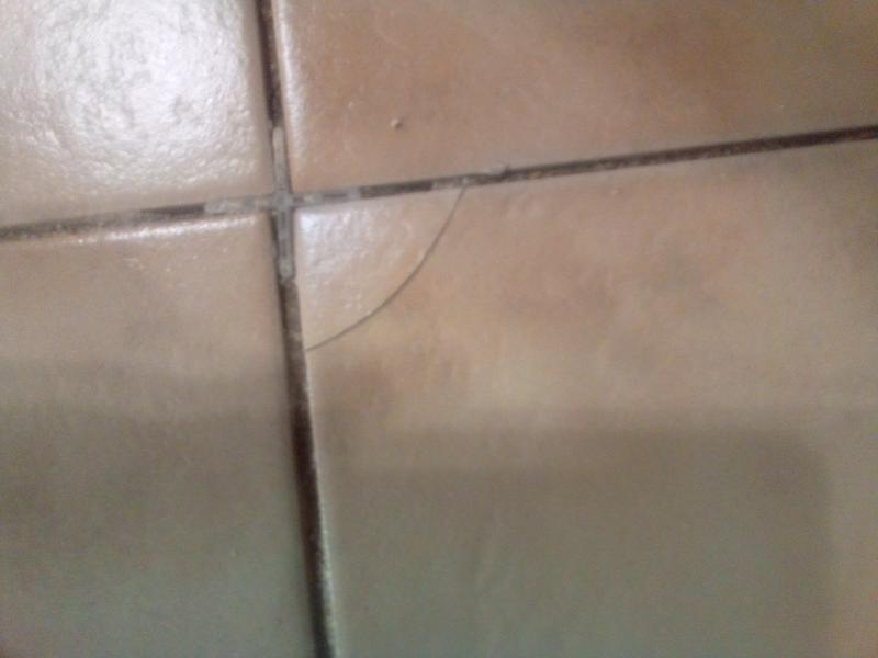 Revisione aperta modale 1 su 1