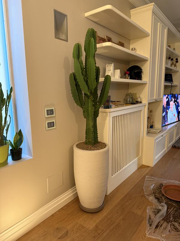 Revisione aperta modale 1 su 1