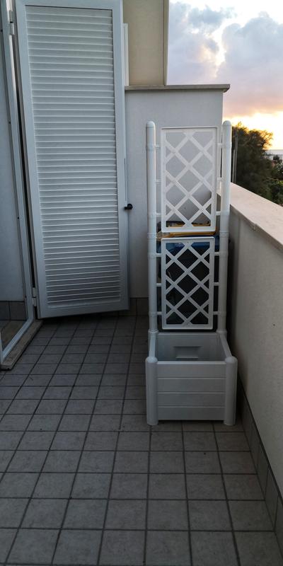 Revisione aperta modale 2 su 2