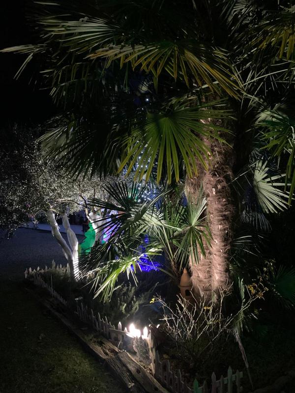 Otwórz okno opinii 1 na stronie 1