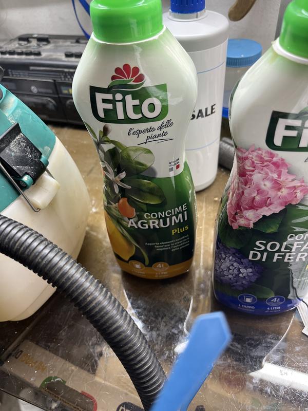 Revisione aperta modale 1 su 1