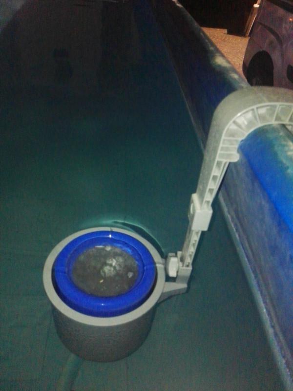 Revisione aperta modale 2 su 2