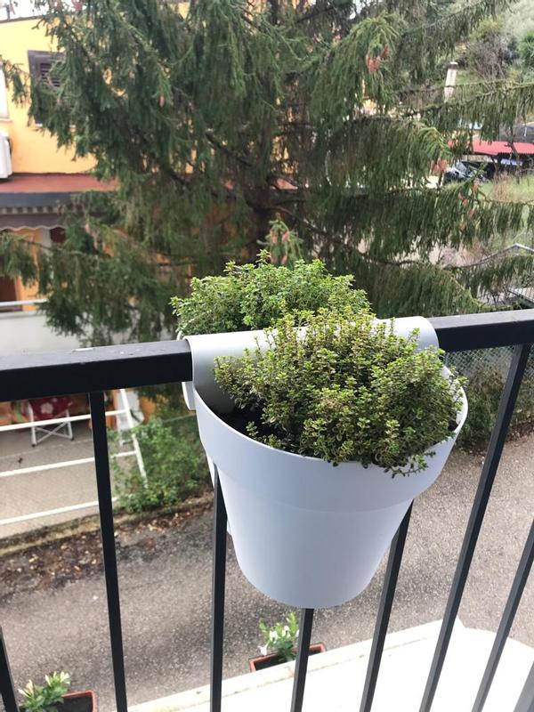 Revisione aperta modale 3 su 3