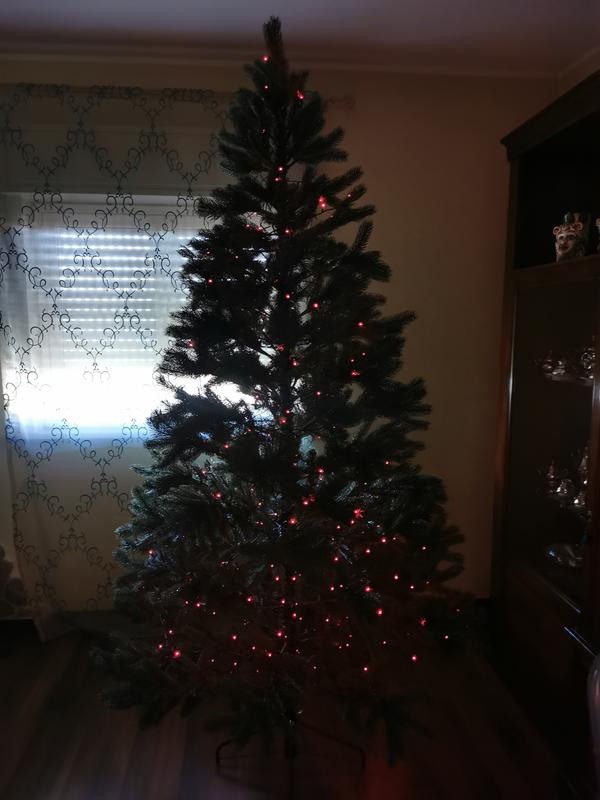 Revisione aperta modale 2 su 2