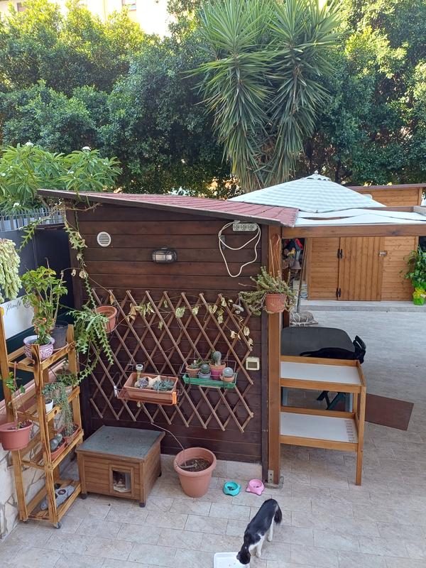 Revisione aperta modale 1 su 1