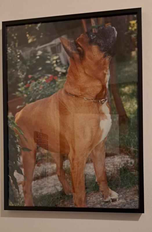 Revisione aperta modale 1 su 1