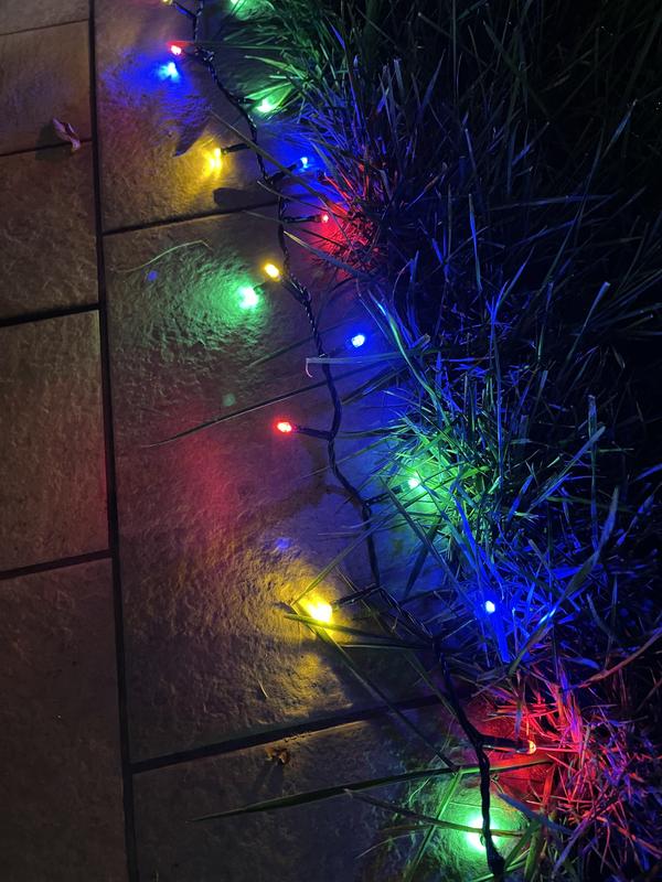 Revisione aperta modale 2 su 4