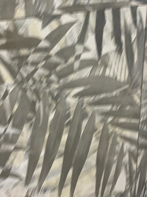 Revisione aperta modale 1 su 1