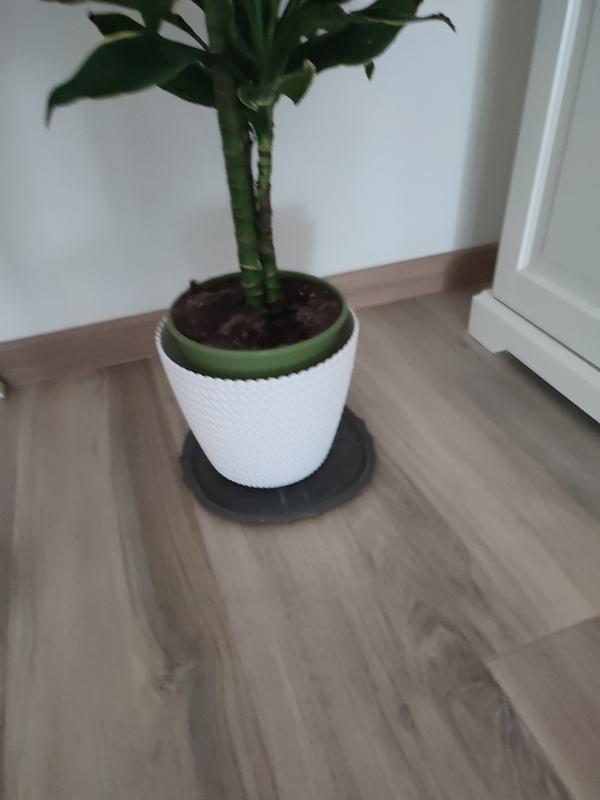 Revisione aperta modale 1 su 1