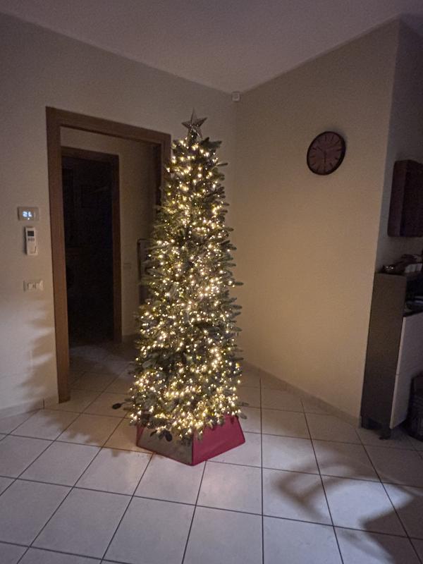 Revisione aperta modale 1 su 1