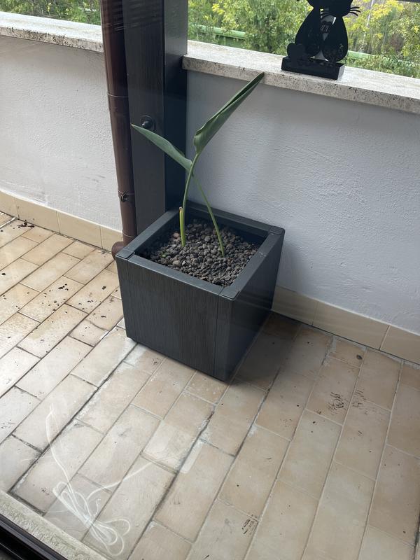 Revisione aperta modale 1 su 1