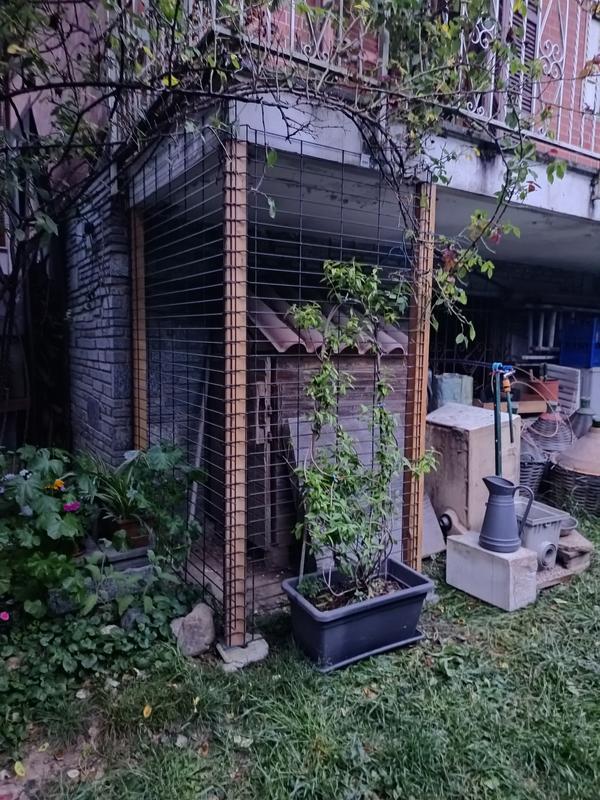 Revisione aperta modale 1 su 1