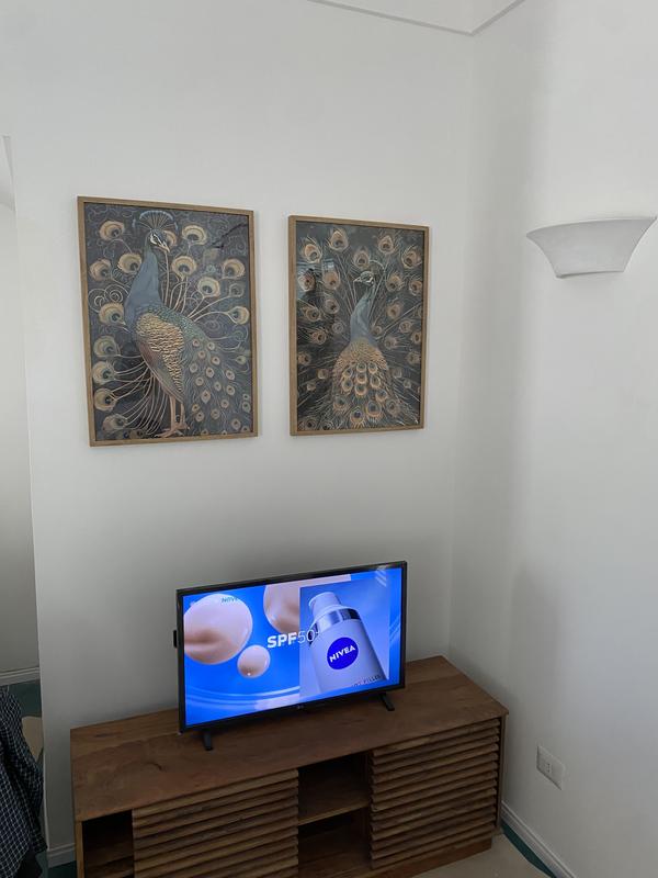 Revisione aperta modale 1 su 1