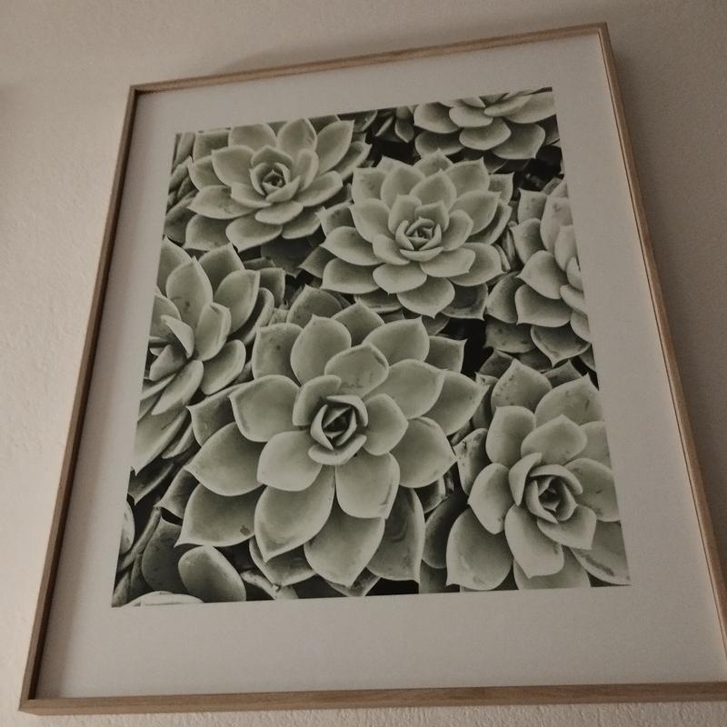 Revisione aperta modale 1 su 1