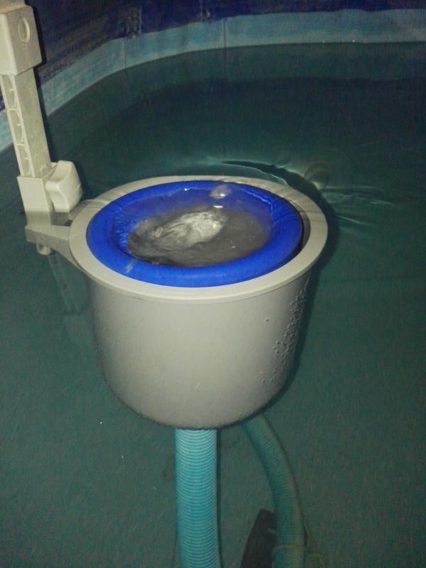 Revisione aperta modale 1 su 2