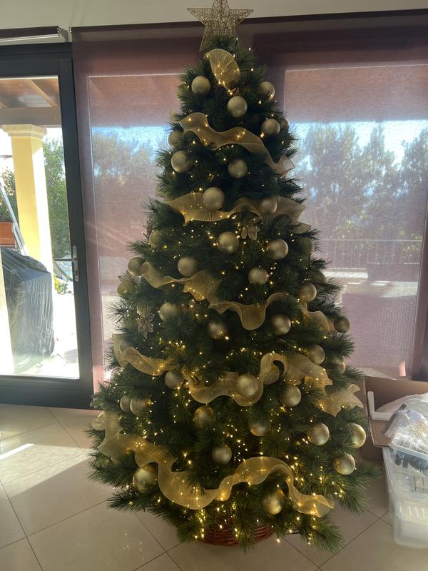 Revisione aperta modale 1 su 1