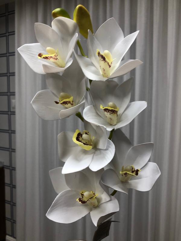 Revisione aperta modale 1 su 1