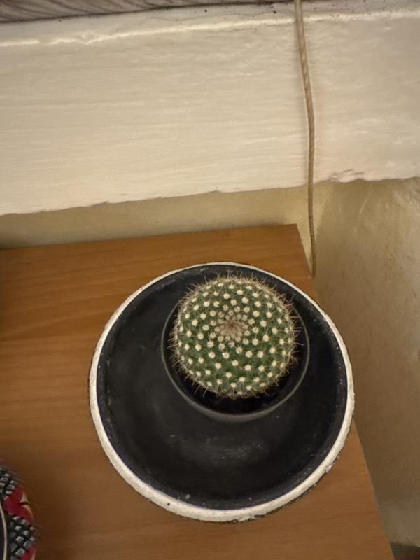 Revisione aperta modale 1 su 1