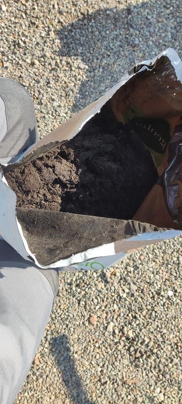 Revisione aperta modale 1 su 2