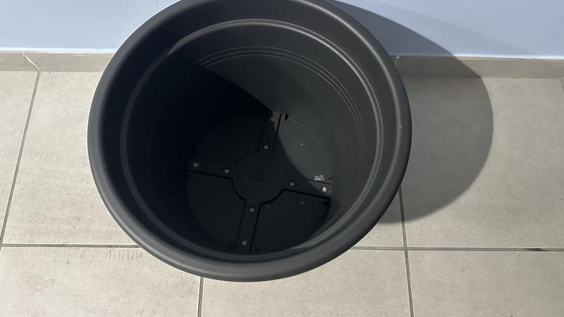 Revisione aperta modale 2 su 2