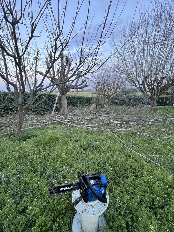 Revisione aperta modale 1 su 1