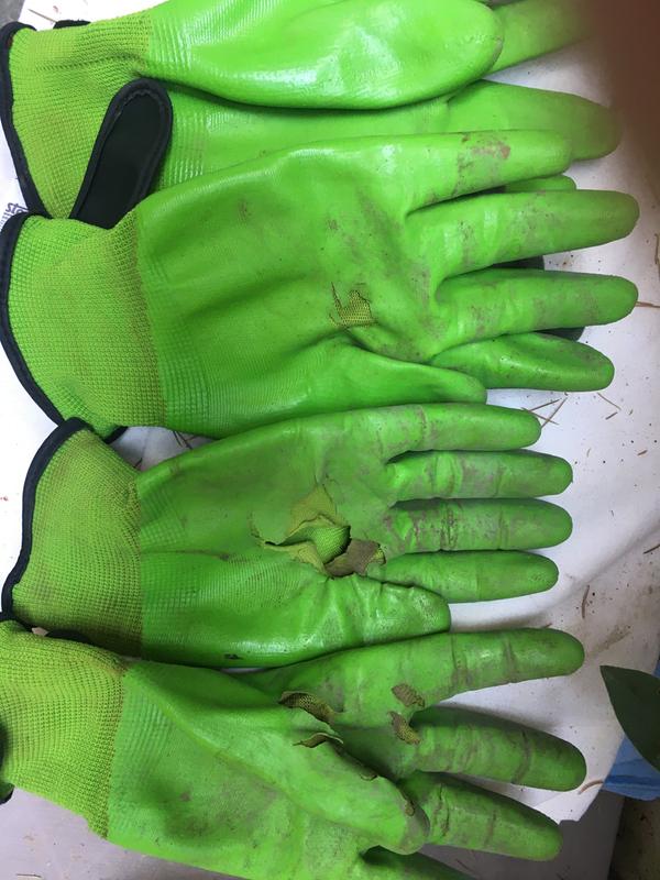 Revisione aperta modale 3 su 3