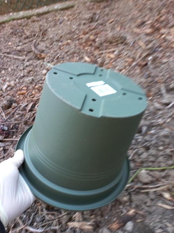 Revisione aperta modale 2 su 3