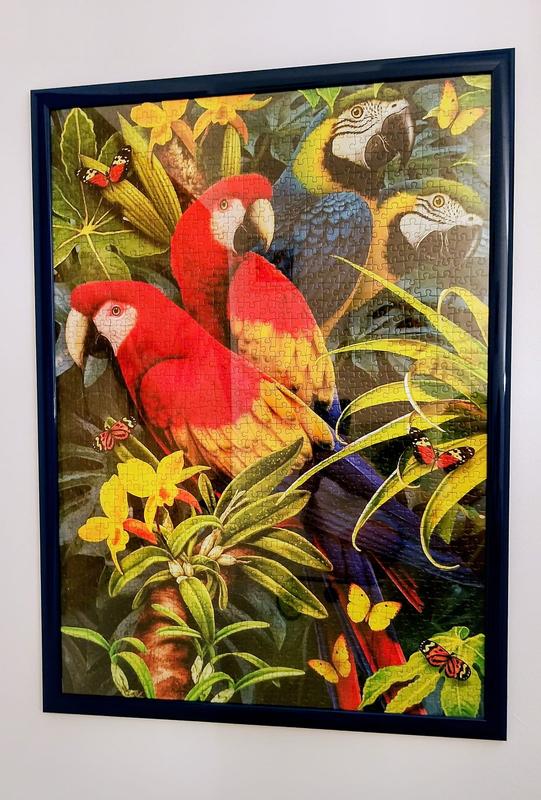 Revisione aperta modale 1 su 1