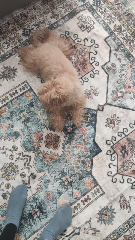 Revisione aperta modale 1 su 1