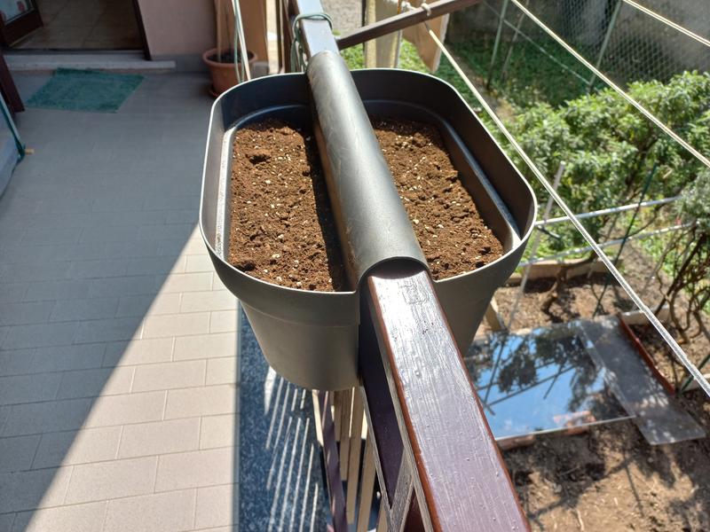 Revisione aperta modale 4 su 5